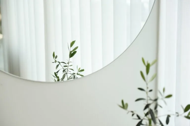 Photo Image: Indoor plants