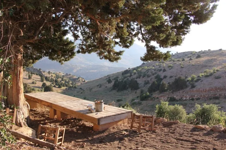 Photo Outdoor picnic