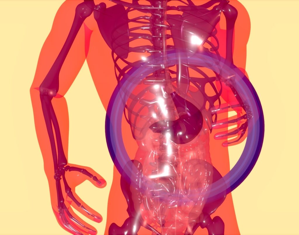 Photo Digestive system