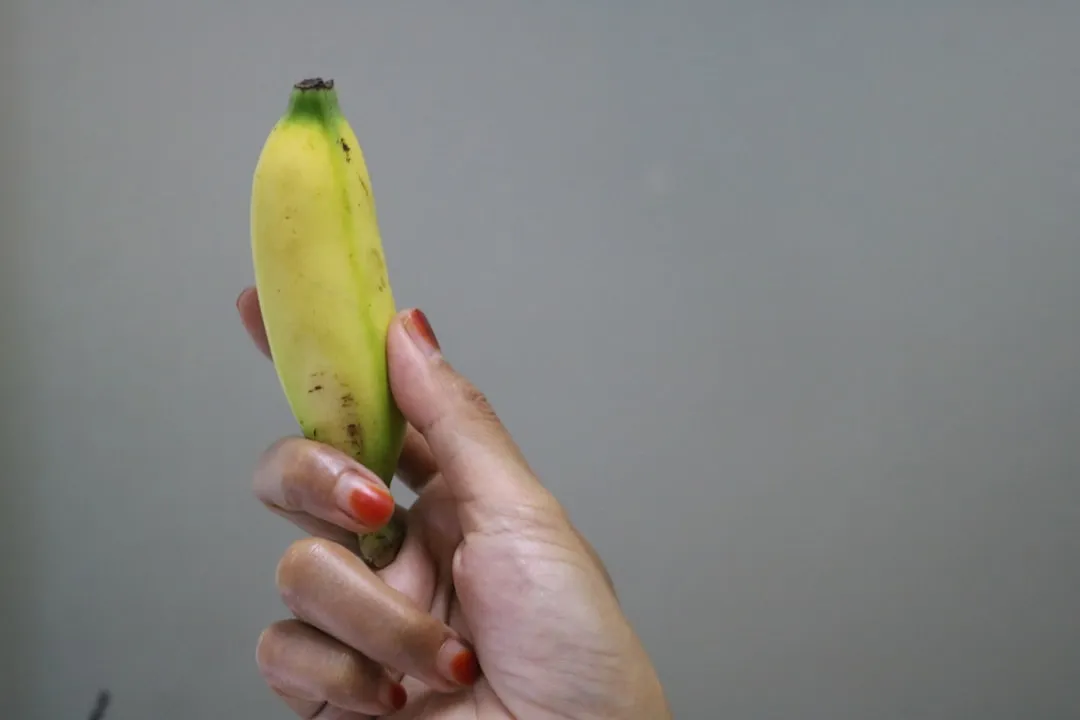 Photo Banana peel