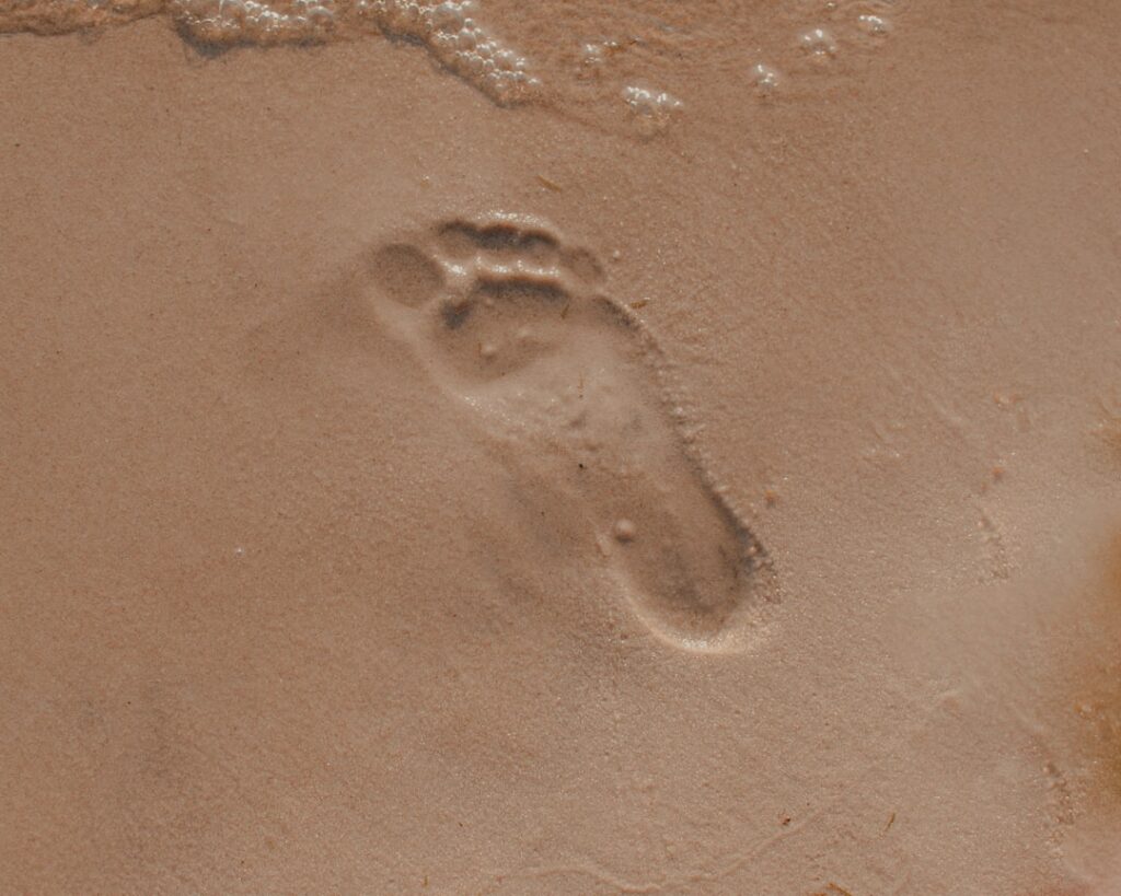 Photo Wart on foot