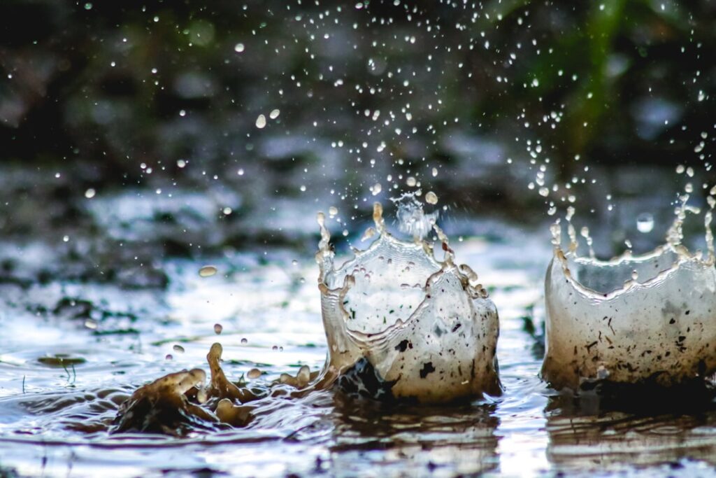 Photo Muddy water