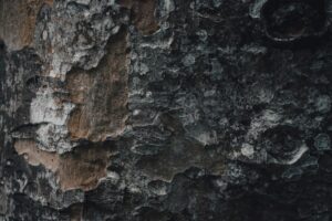 Photo Dry skin