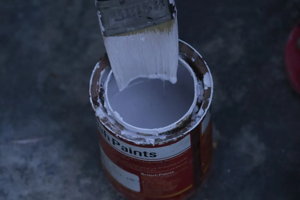 Photo Mold-resistant paint
