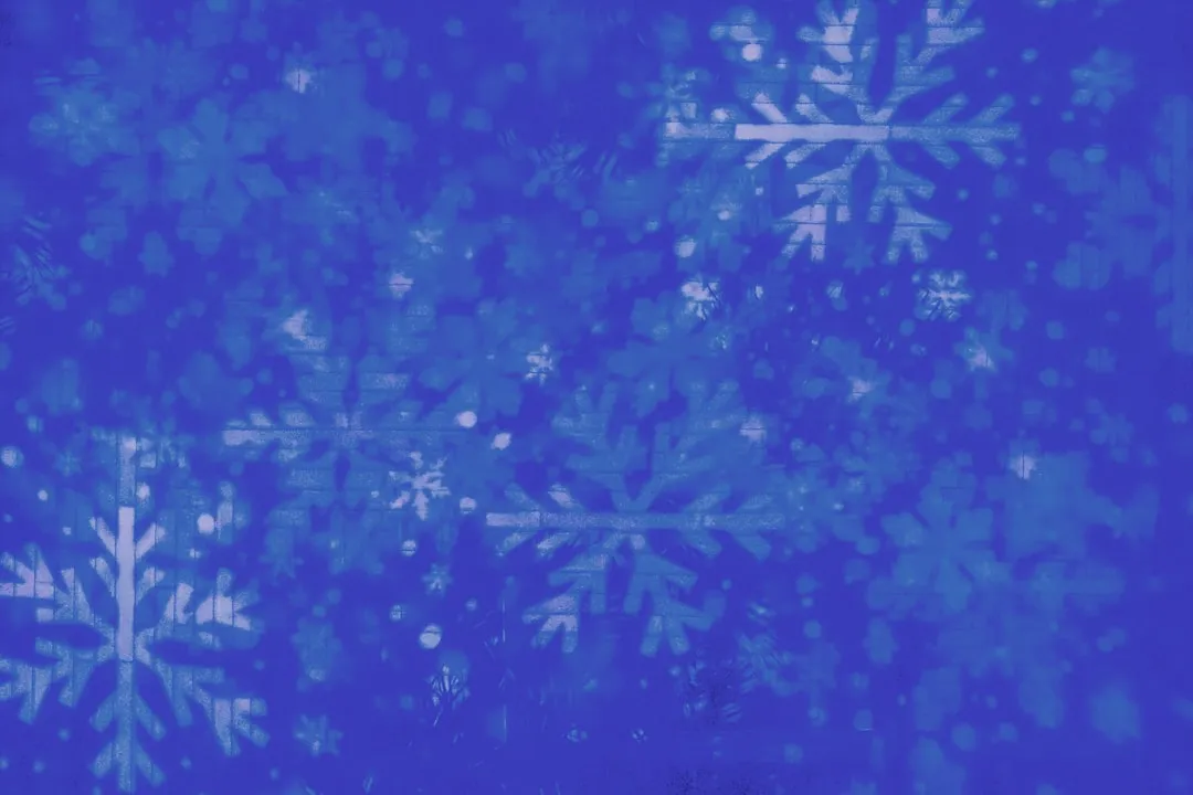 Photo Snowflake icon