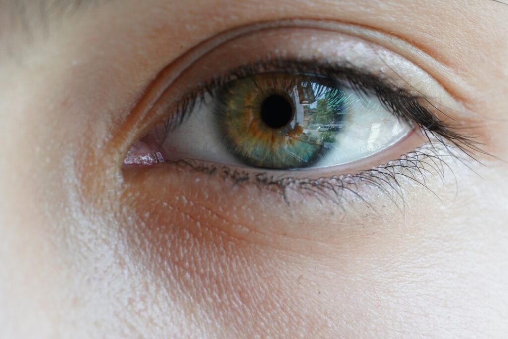 Photo Eye color: Patience