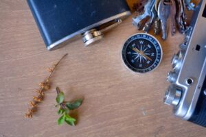 Photo Compass needle
