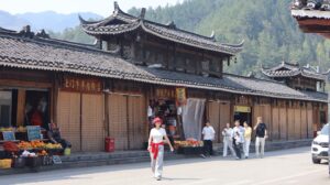 Photo tourism business