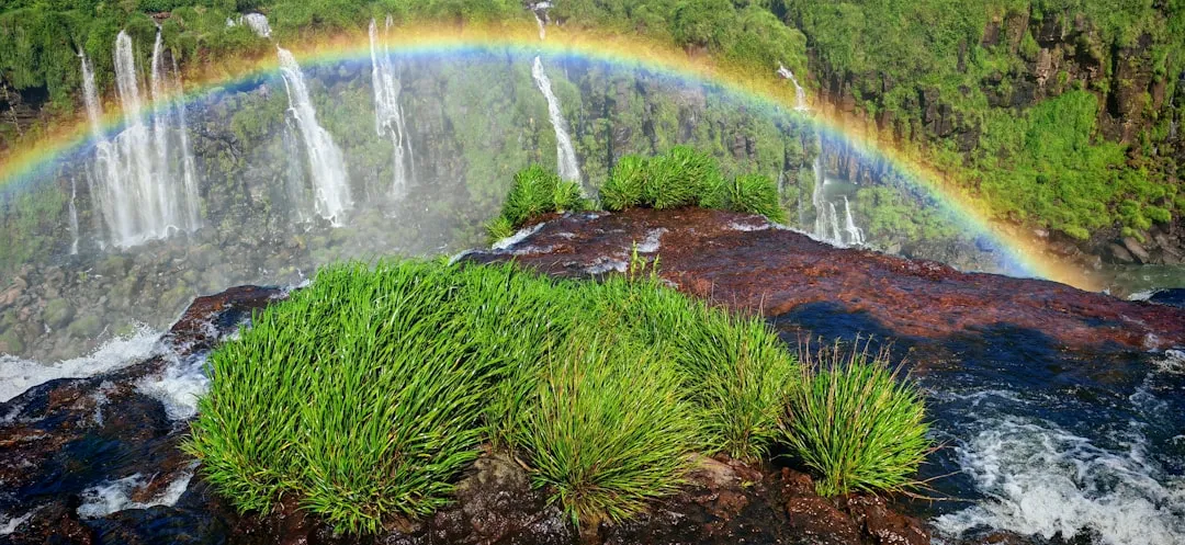 Photo eco-friendly tourism