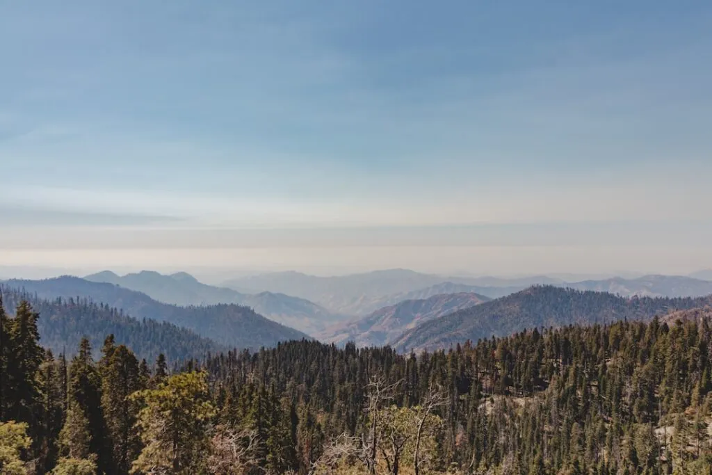 Cum să creezi tururi pentru iubitorii de natură și drumeții Photo nature tours
