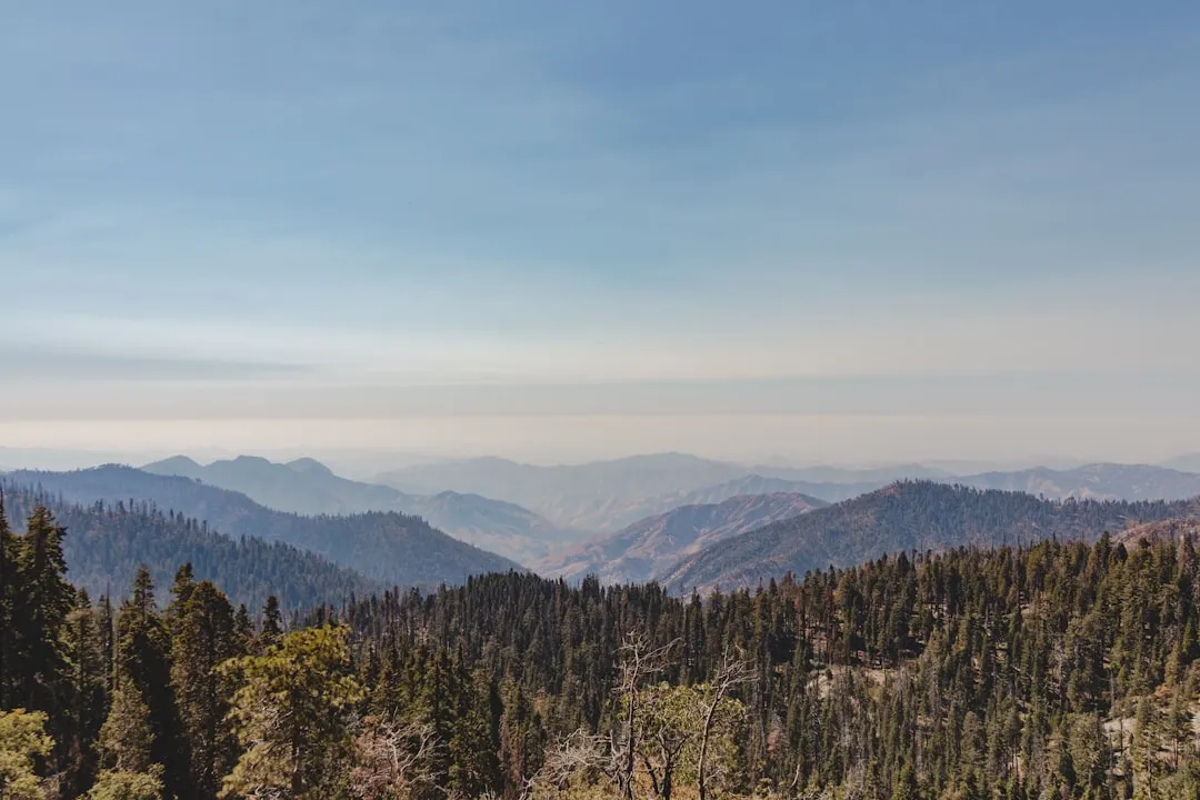 Photo nature tours