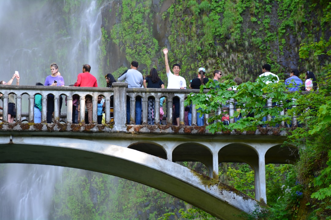 Photo attract tourists