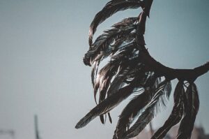 Photo dream interpretation