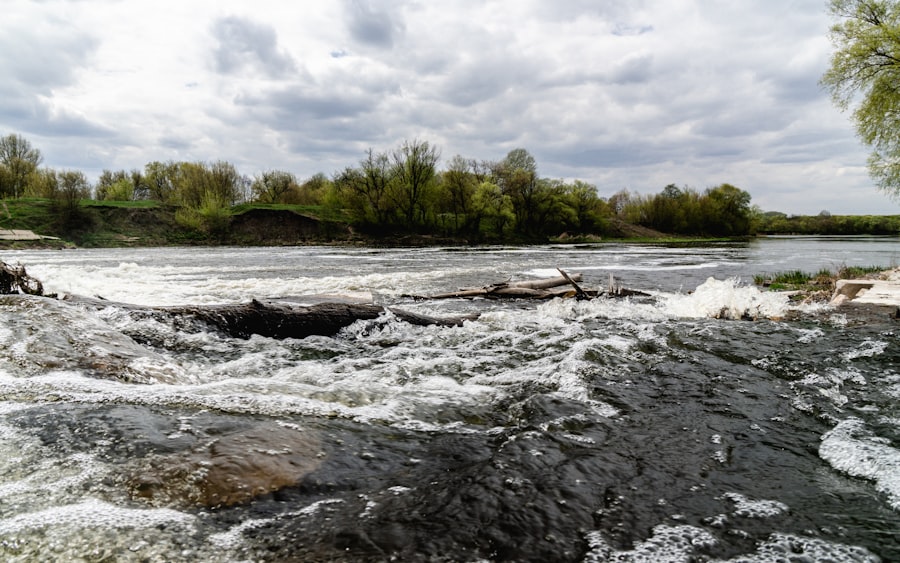 slăbești rapid