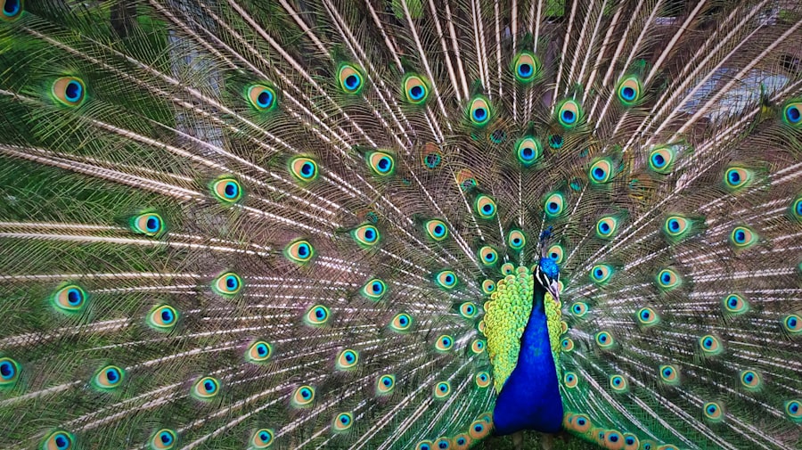Photo confidence