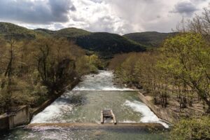 Photo slăbești rapid