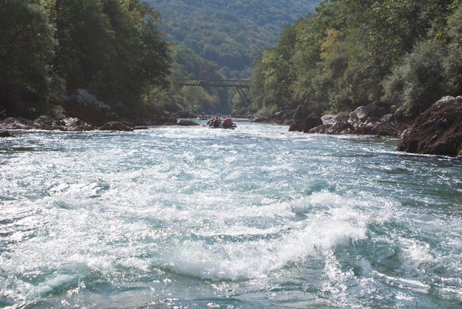 Photo slăbești rapid