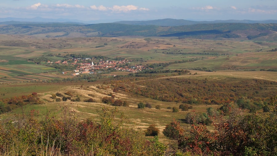 Photo țiuie urechile
