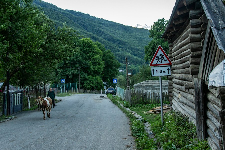 Photo anunț vizibil