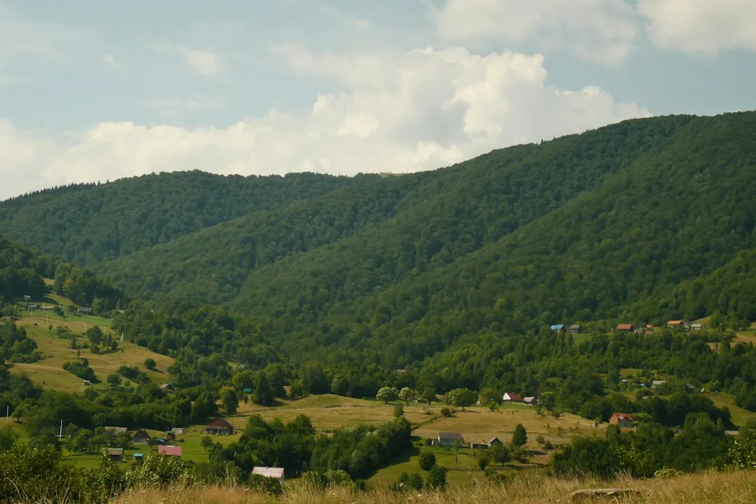 Photo anunț vizibil